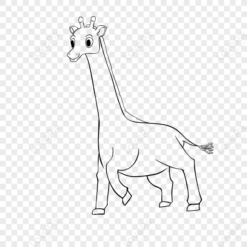 Photo de Girafe Clipart Noir Et Blanc Marche Girafe blanc noir Et