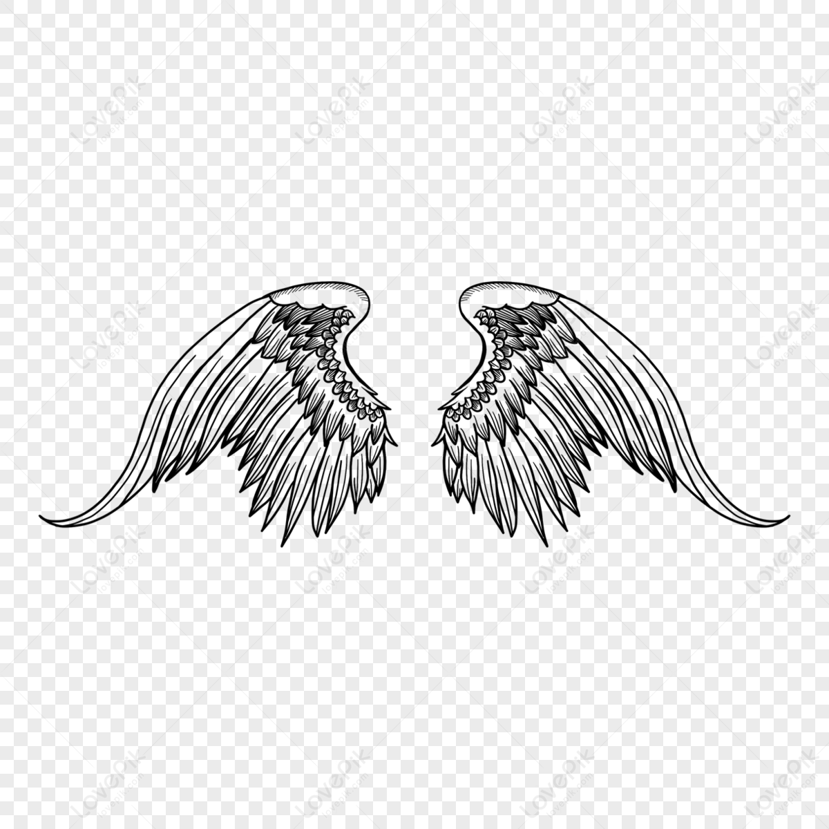Black And White Handsome Angel Wings,hand Painted,white Angels PNG ...