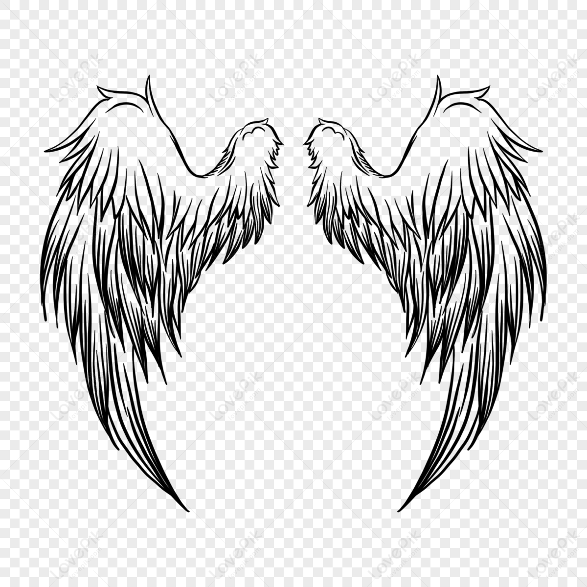 Black And White Linear Hand Drawn Wings,black And White Handsome,linear ...