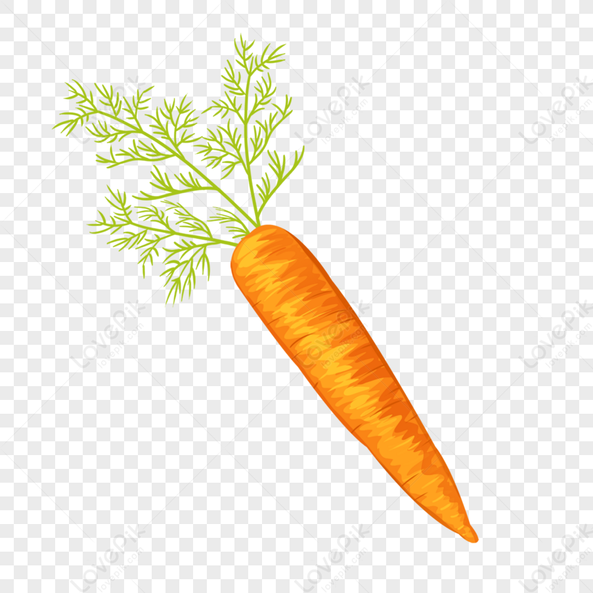 Carrots With Leaves Clipart,hand Drawn Carrot,food PNG Transparent ...