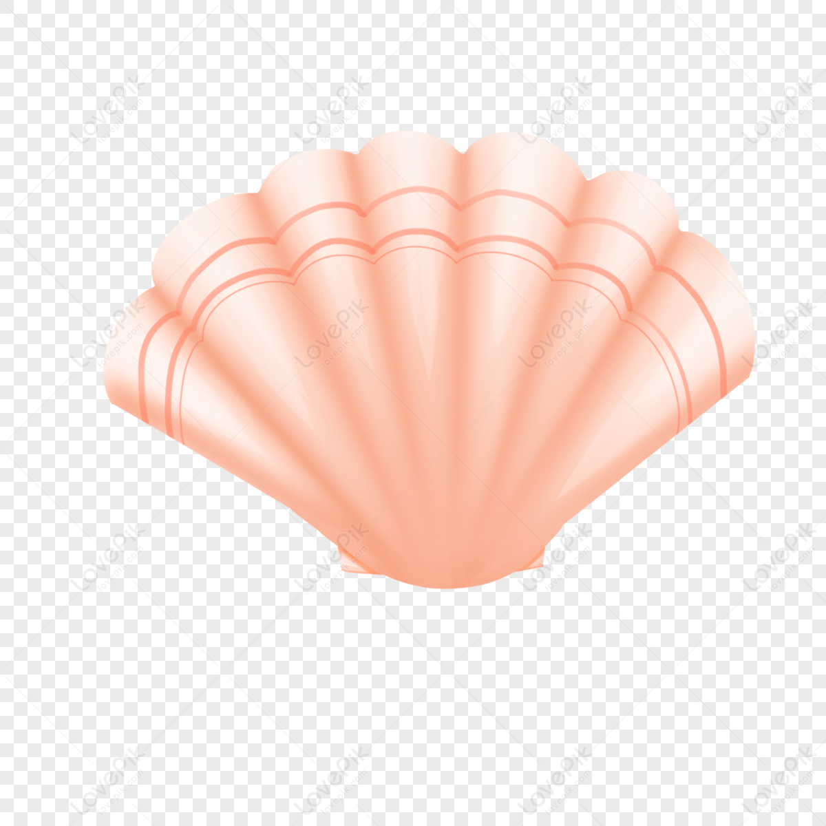 Cartoon Orange Cute Seashell,cartoon Hand Drawn,icon Decoration ...