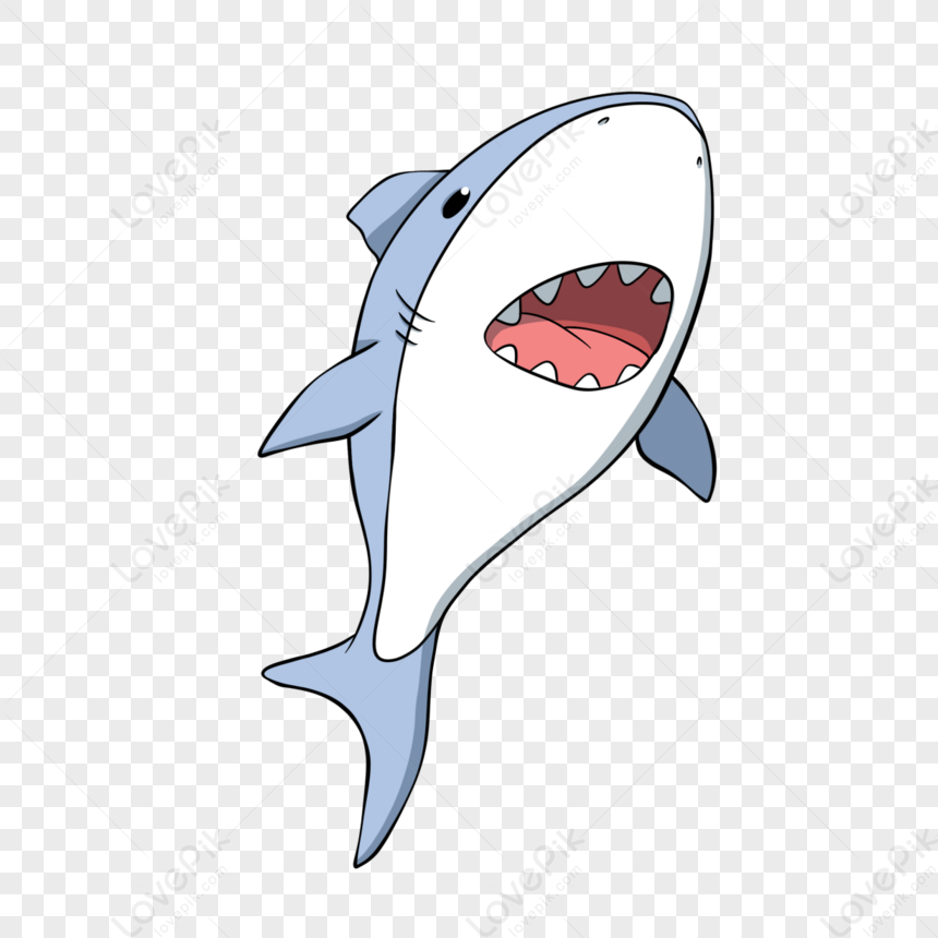 its shark! shark shark shark - YouTube