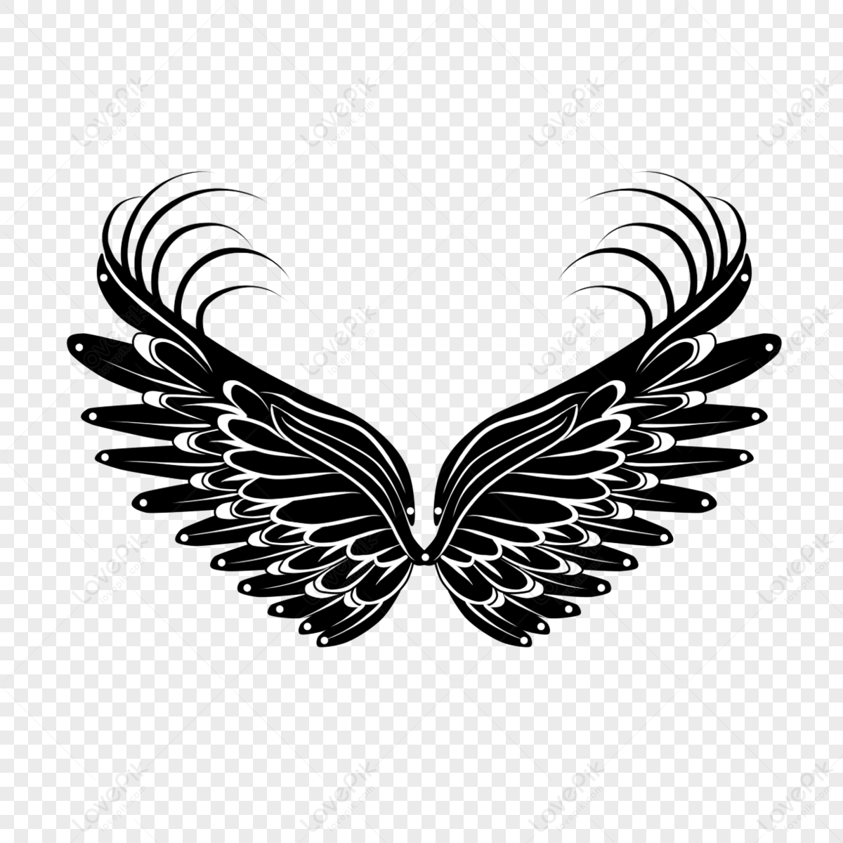 Premium Vector | Angel wings on a white background