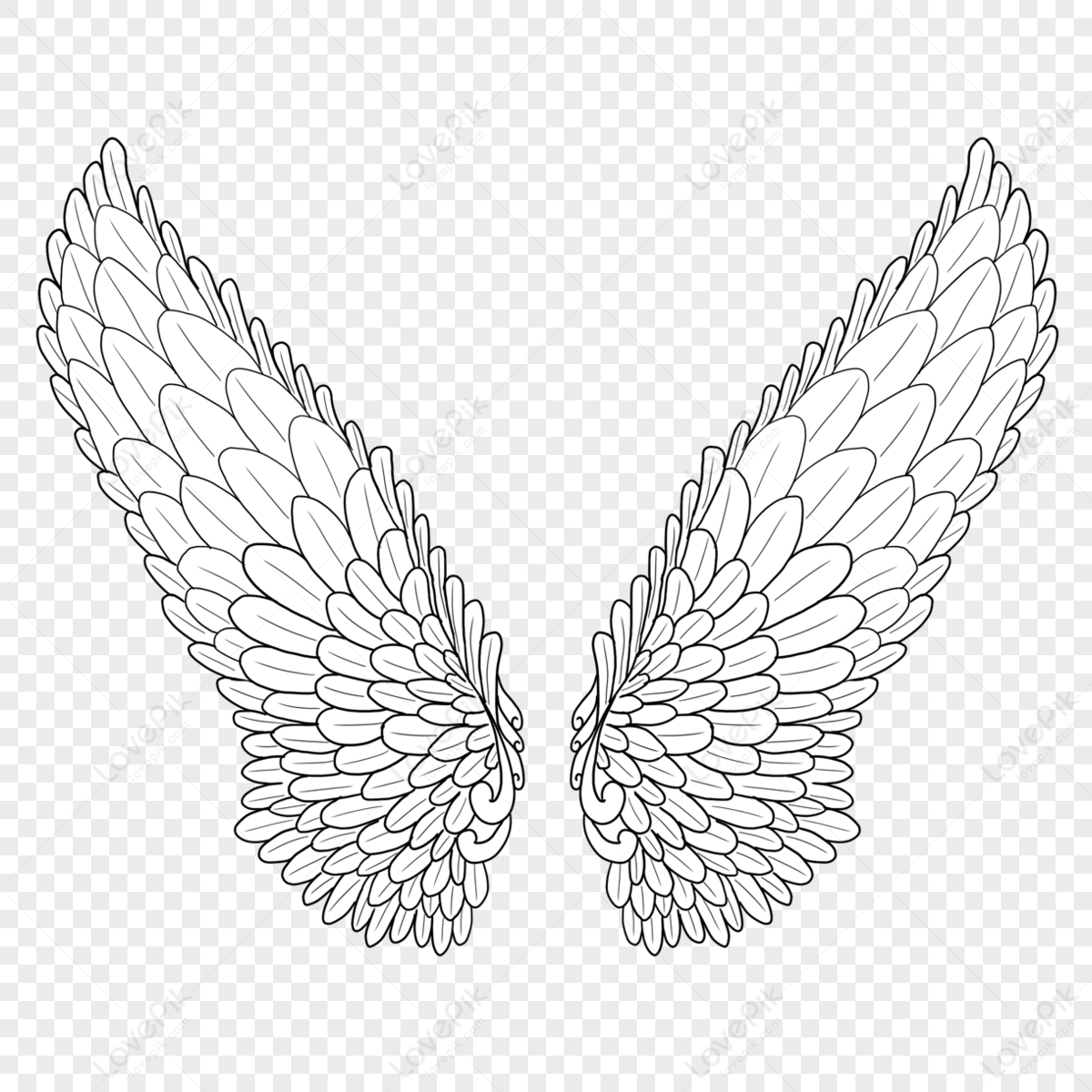 Extended Decorative Wings,feather Wings,feather,decorative Sketch PNG ...