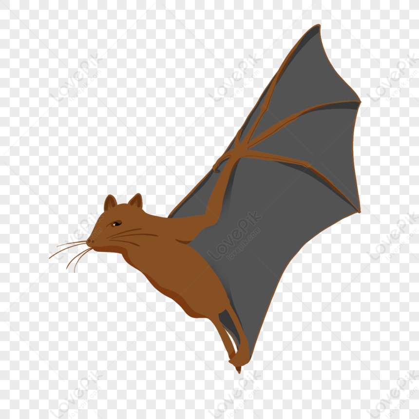 A stylish bat with unique fashion sense in anime art on Craiyon