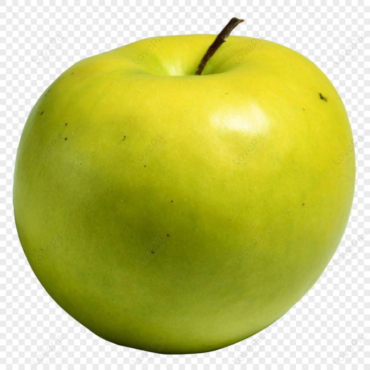 Round Apple Booty