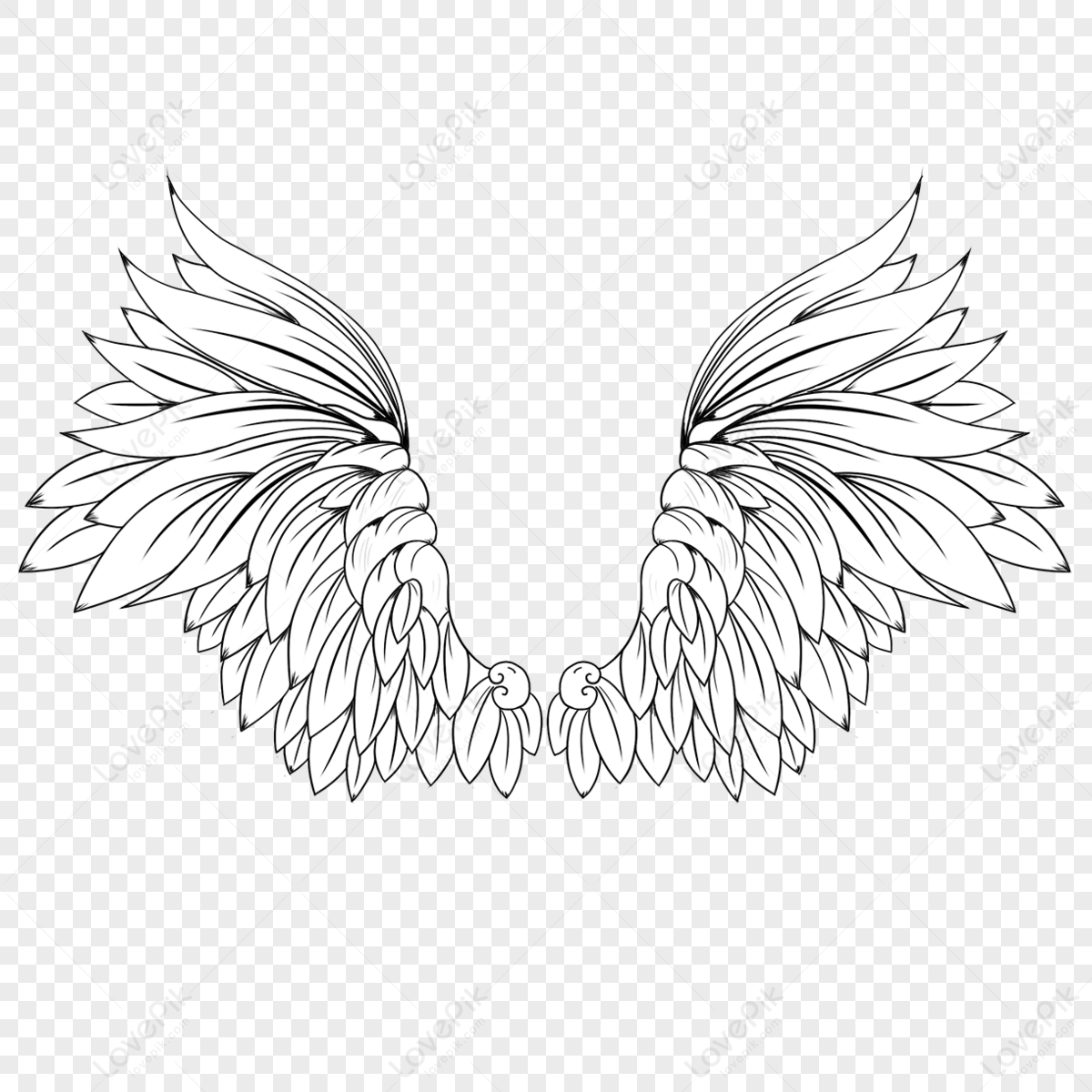 Hand Drawn Black And White Linear Wings,white Hands,hand Painted Free ...