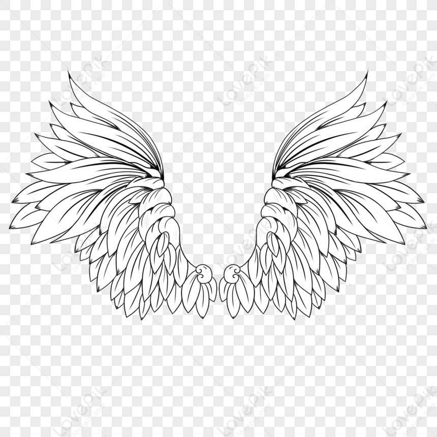 hand-drawn-black-and-white-linear-wings-white-hands-hand-painted-free