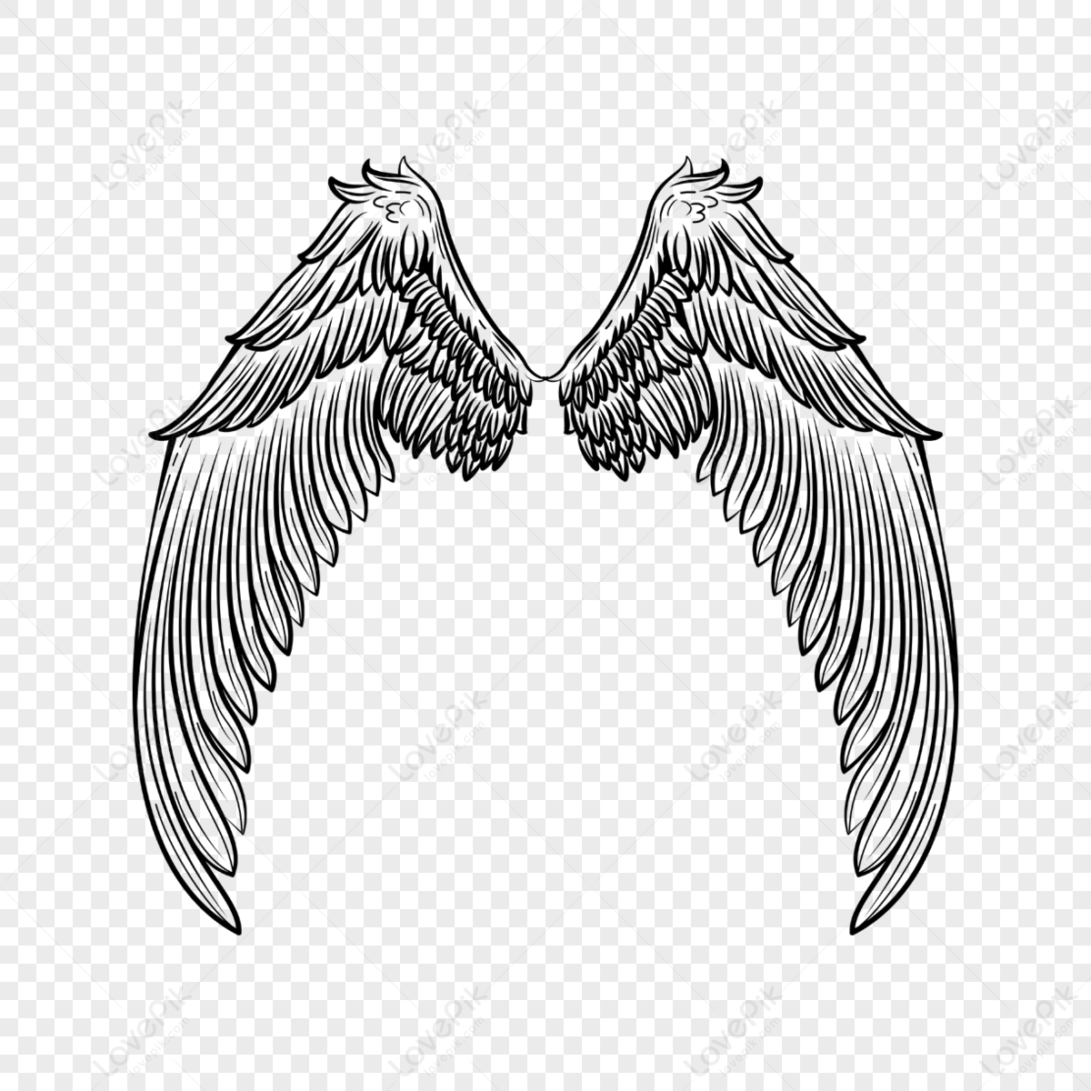 Linear Wings Png Images With Transparent Background 