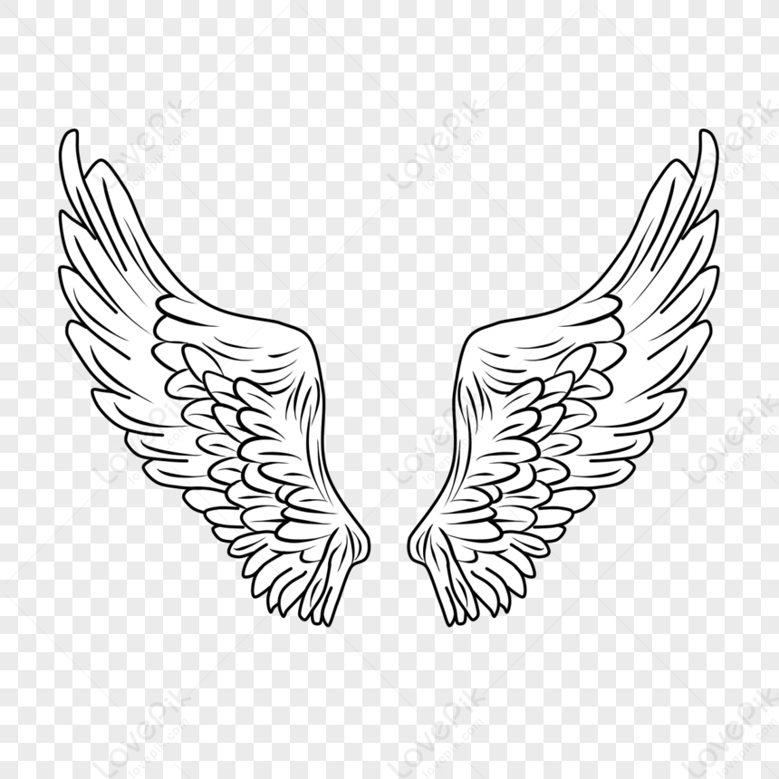 Hand Drawn Line Black Cartoon Wings,fly,linear Wings PNG Transparent ...