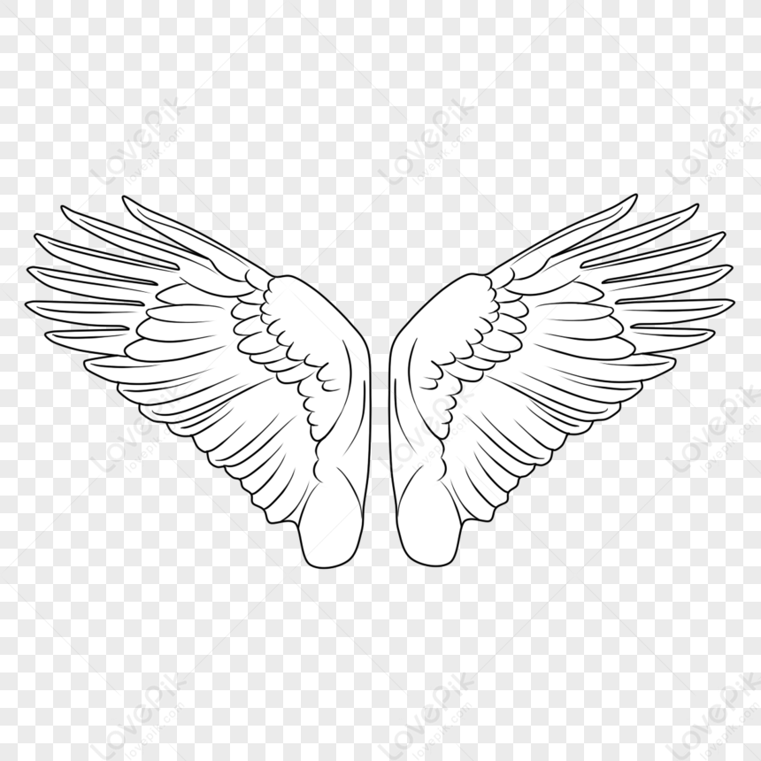 Hand Drawn Linear Line Simple Cartoon Wings,bird Wings,fly Png Picture 