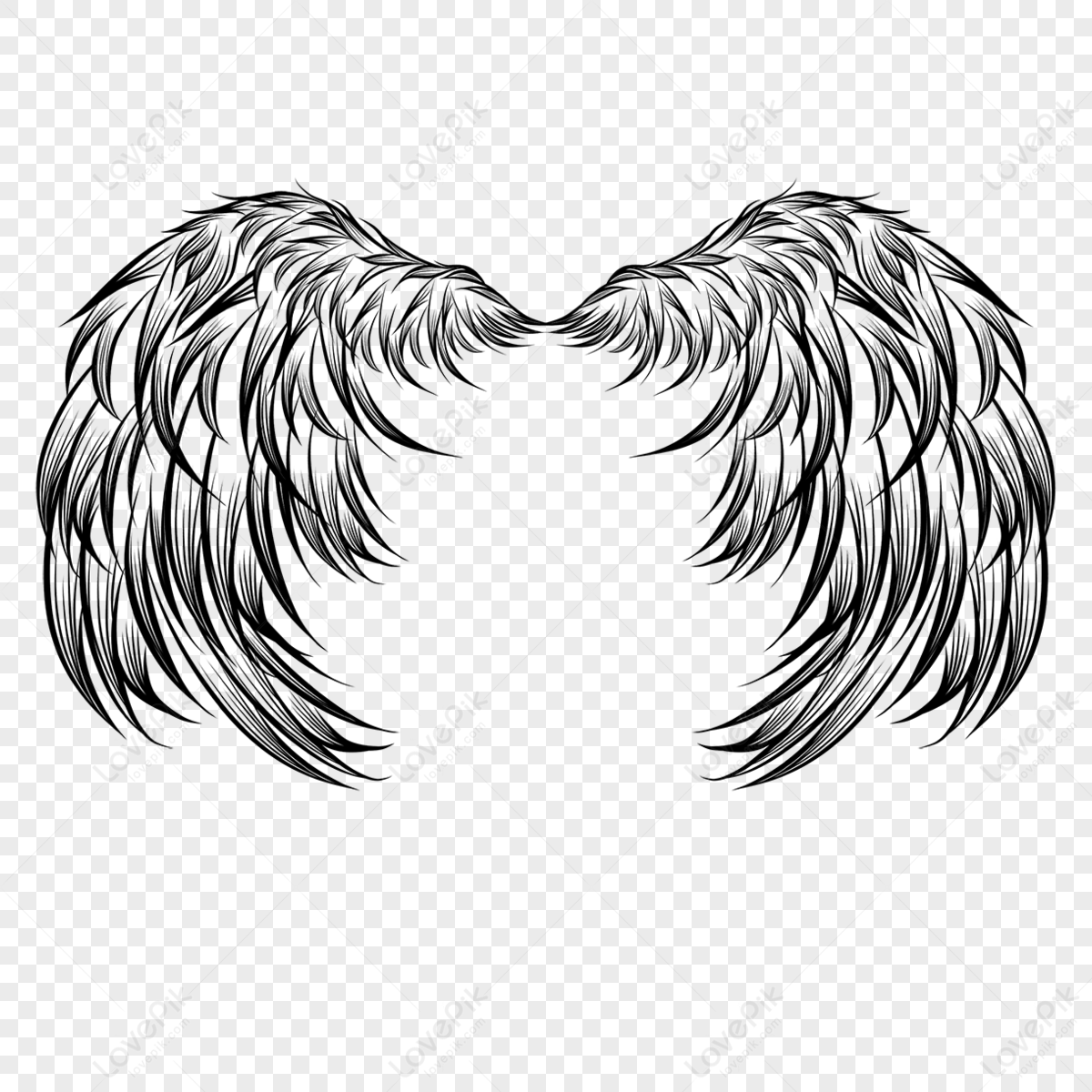 Feather Lineart PNG Images With Transparent Background | Free Download ...