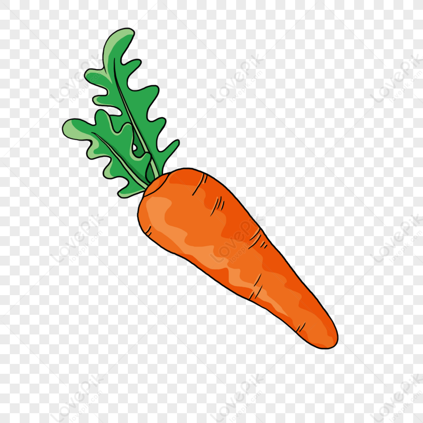How to Draw a Carrot | Design School