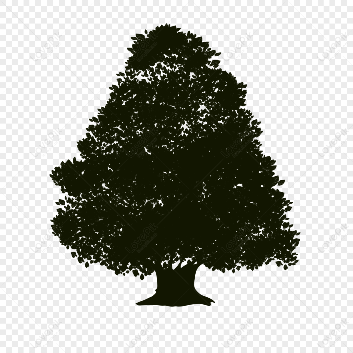 Transparent Evergreen Tree Clipart Black And White - Pine Tree Ink Drawing,  HD Png Download , Transparent Png Image | PNG.ToolXoX.com