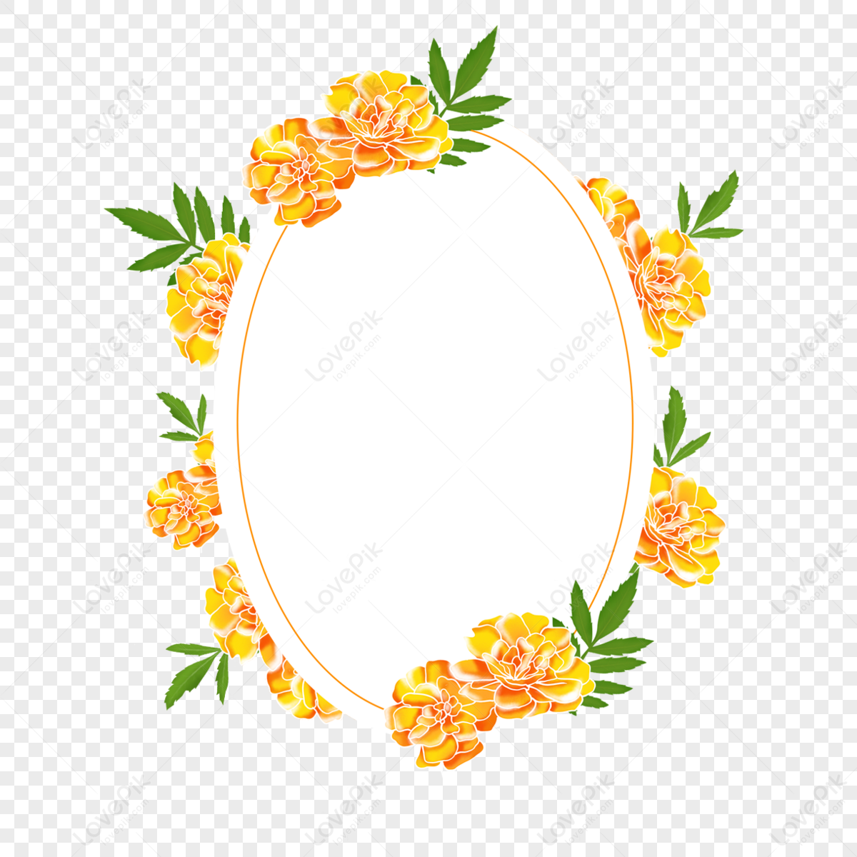 Marigold Flower Ring Oval Border,luxury,invitation,banner PNG Free ...