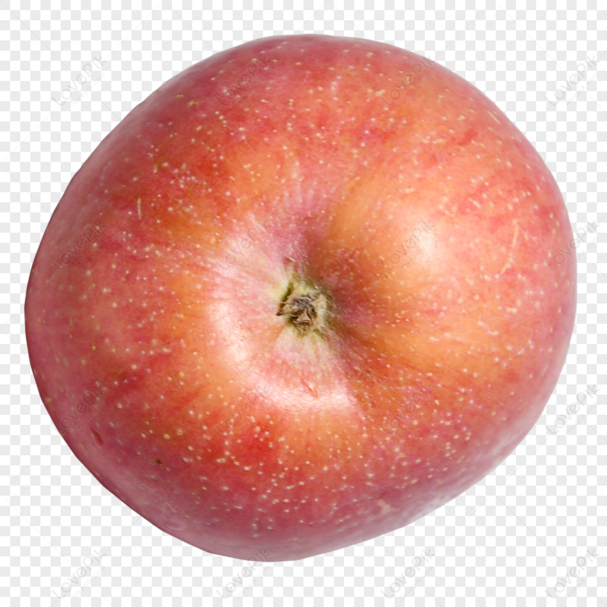 Round Apple Booty