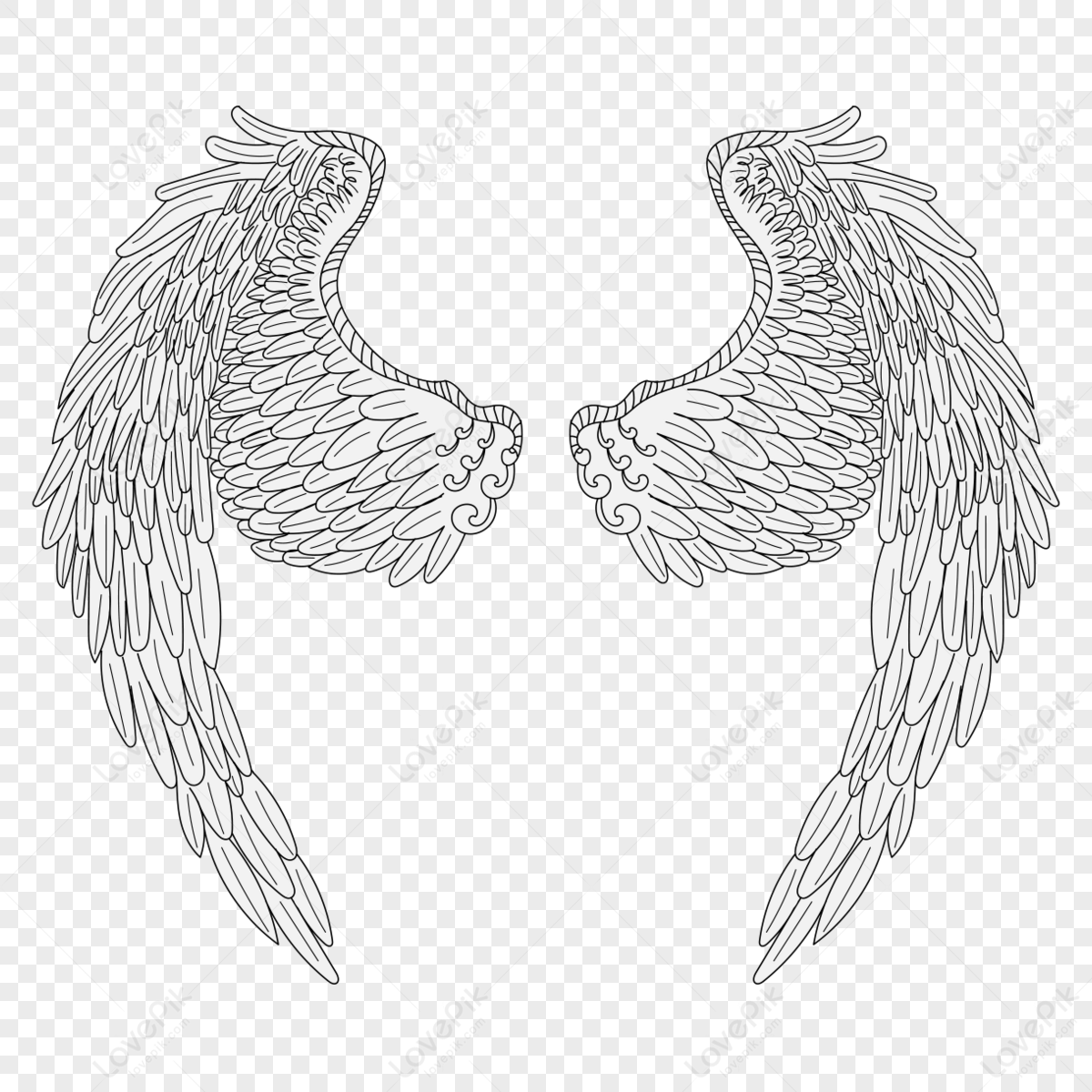 Slightly Spread Wings,feather,unfolded Wings,feather Wings PNG Image ...