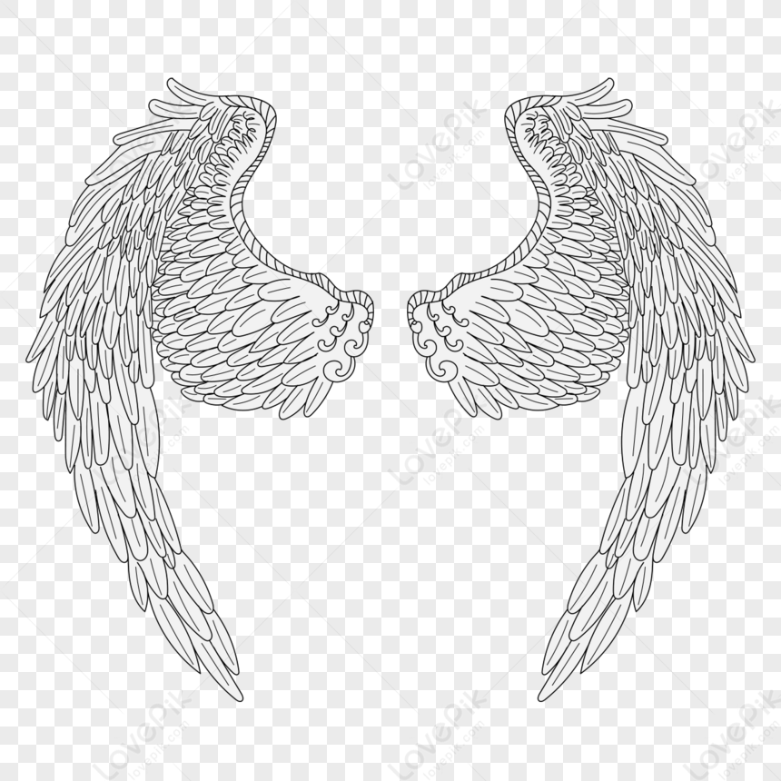 Slightly Spread Wings,feather,unfolded Wings,feather Wings PNG Image ...