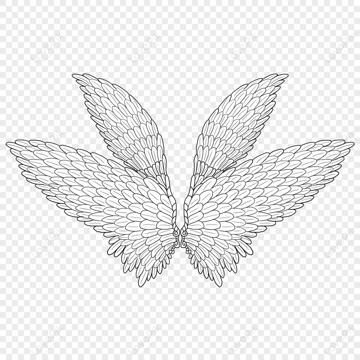 Spread Two Pairs Of Decorative Wings,decorative Drawing,decorative ...