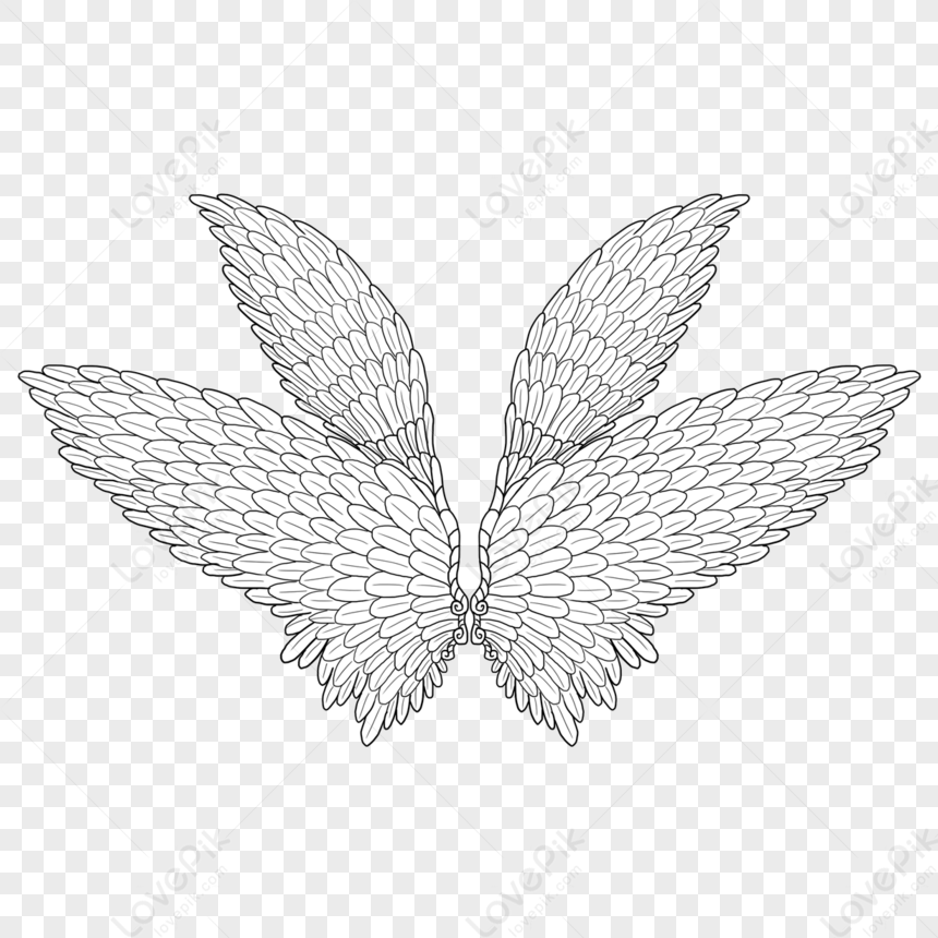 Spread Two Pairs Of Decorative Wings,decorative Drawing,decorative ...