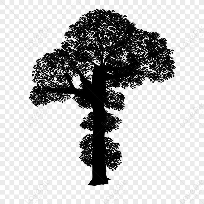 árbol fondo blanco y negro