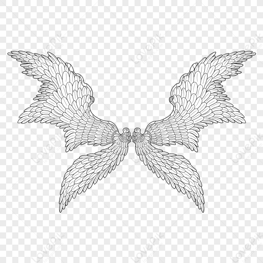 Two Pairs Of Wings Spread Out Wings Decoration,outing,flying Wings PNG ...