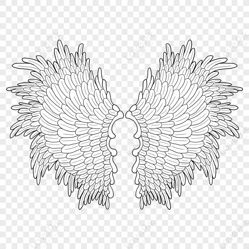 Unfolded Wings Decoration,feather Wings,feather,spreading Wings PNG ...