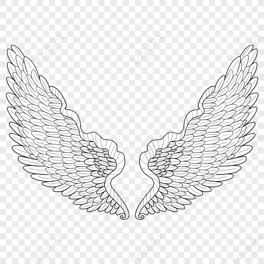 Wing Decoration,wings,spreading Wings,feather PNG White Transparent And ...