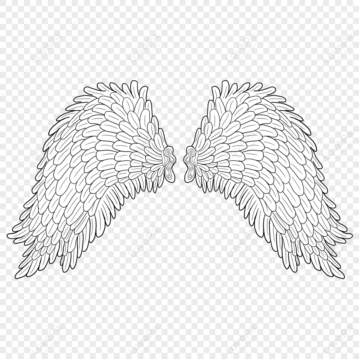 Wings Spread Slightly,feather,unfolded Wings,stretch Wings Png White 