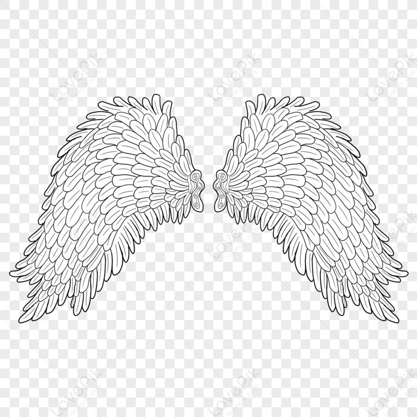 Wings Spread Slightly,feather,unfolded Wings,stretch Wings PNG White ...