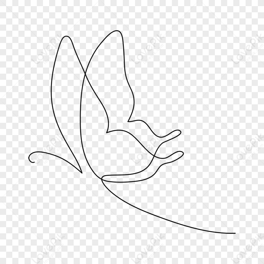 vector line drawing. butterfly. drawing in vintage style, graphics. clipart  isolated on white background. 10402884 Vector Art at Vecteezy