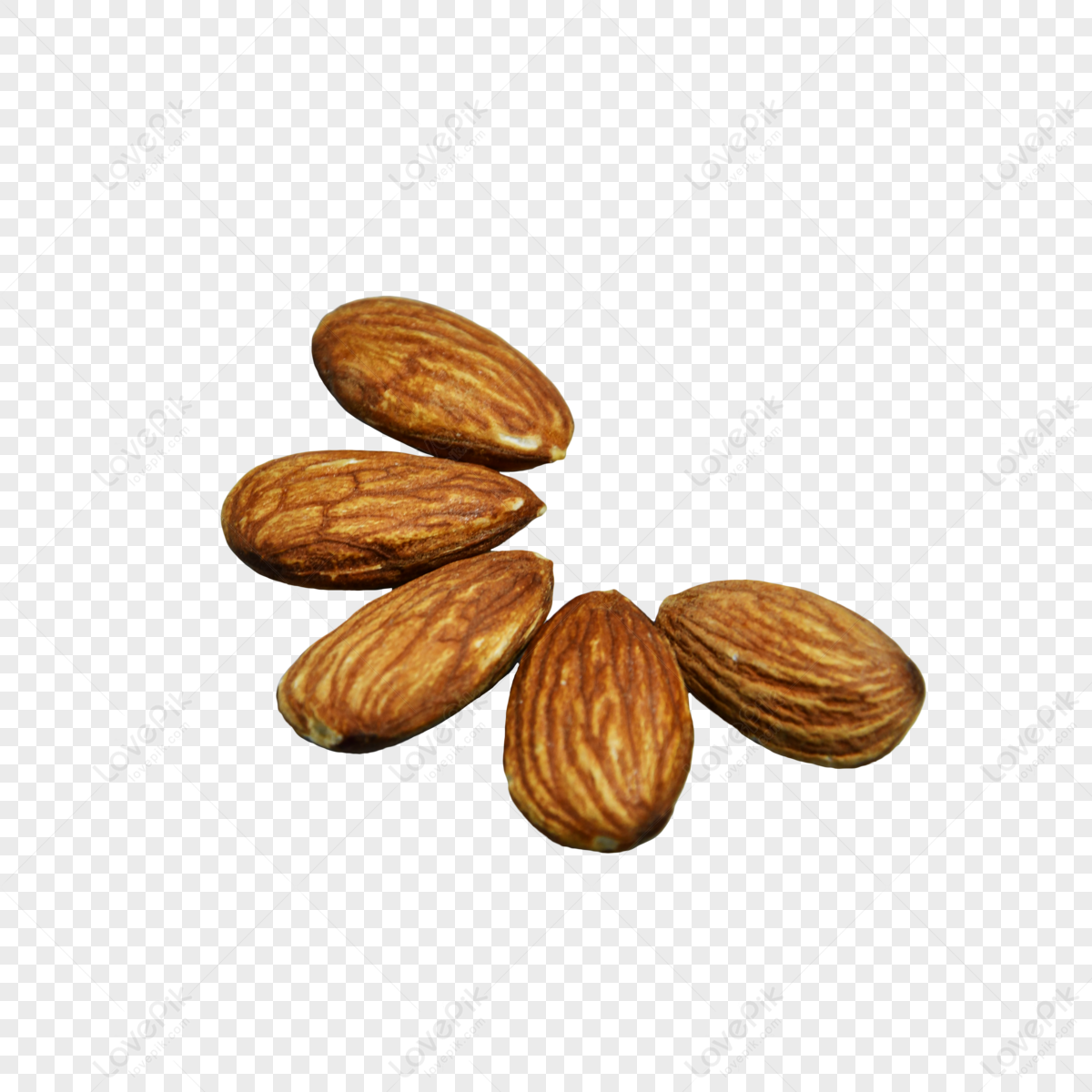 Brown Shellless Altar Wood,nuts,snacks,food PNG Hd Transparent Image ...