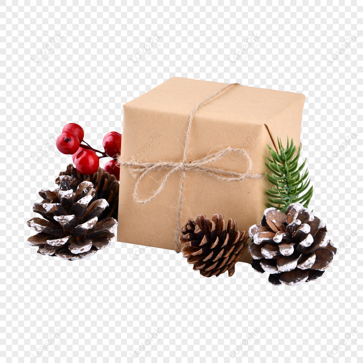 Natale Grande Scatola Regalo E Frutta Di Pino, Natale Png, Pigne Png, Pino  Png PNG Immagine Gratis, Grafica download su Lovepik