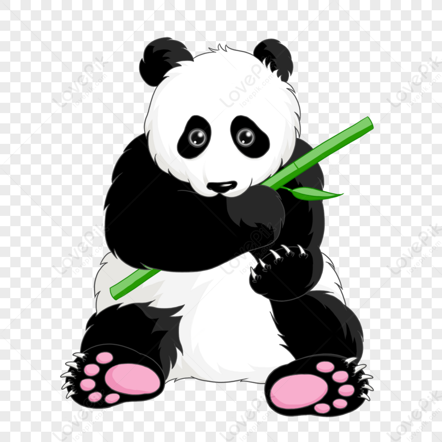 Giant Panda Eating Bamboo Clipart,isolated,graphic,young PNG Image And ...