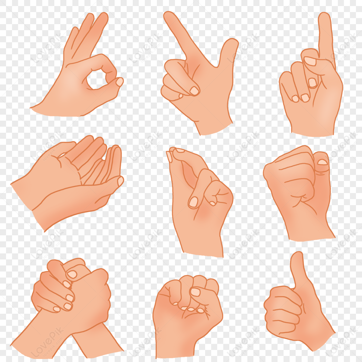 Vector Illustration Hands Different Poses Stock Vector (Royalty Free)  55790074 | Shutterstock | Cartoon drawings, Graphic design art, Hand  drawing reference