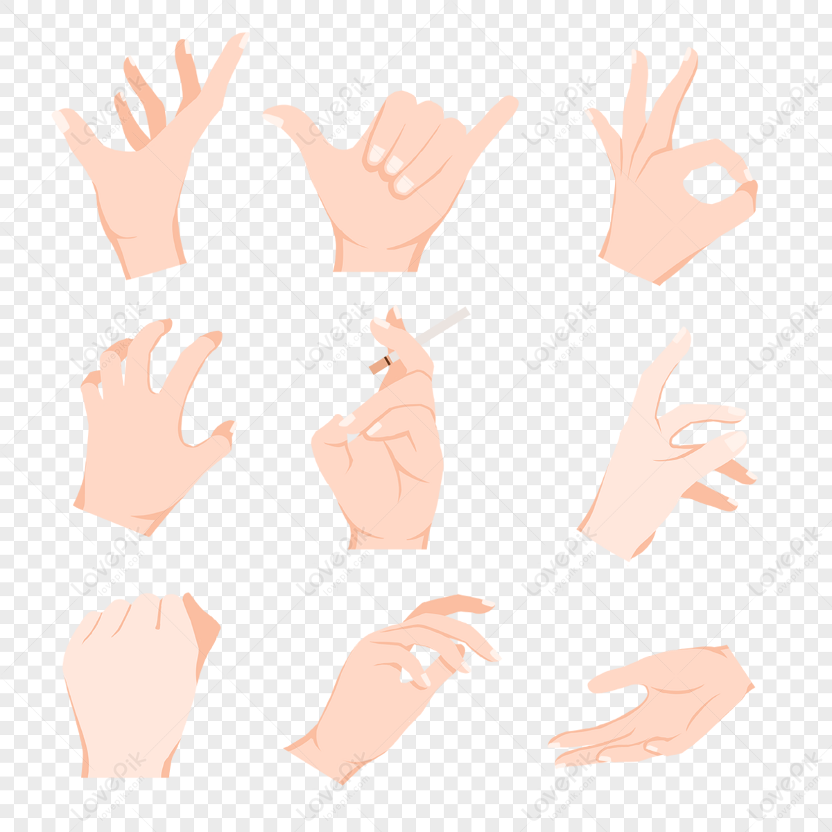 Hands Gestures Isolated White Background Colored Woman's Hand Gesture Set  Stock Vector by ©veta0003.mail.ru 442279566