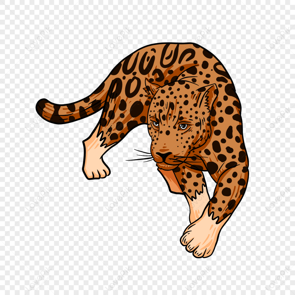 Jaguar hunting animals clipart,anime,prey png white transparent