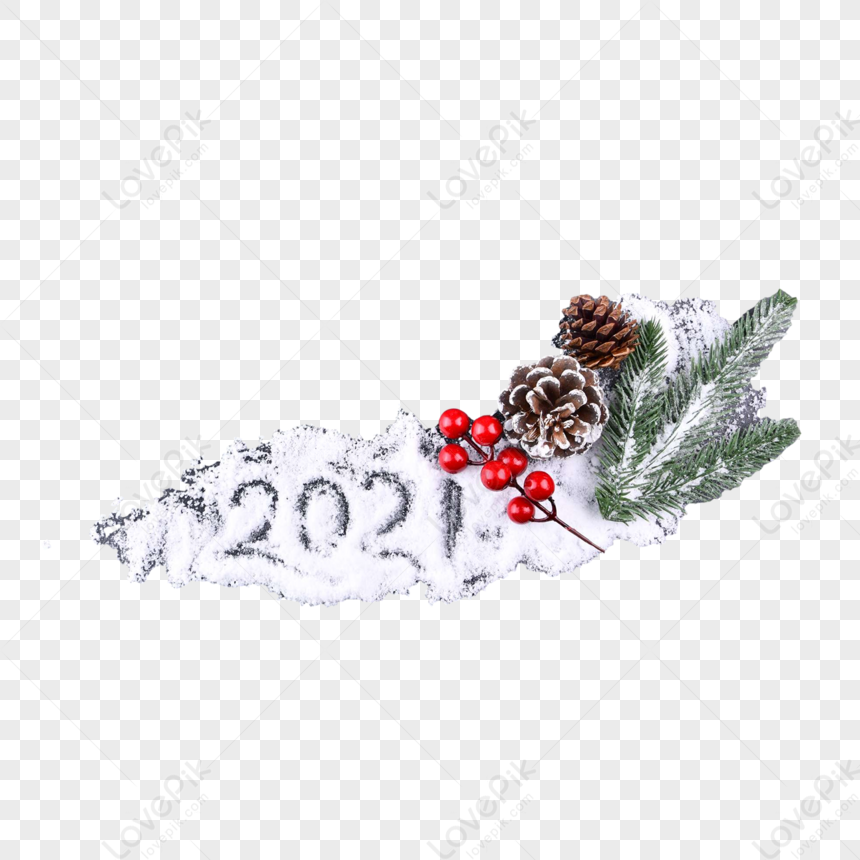 Natale Grande Scatola Regalo E Frutta Di Pino, Natale Png, Pigne Png, Pino  Png PNG Immagine Gratis, Grafica download su Lovepik