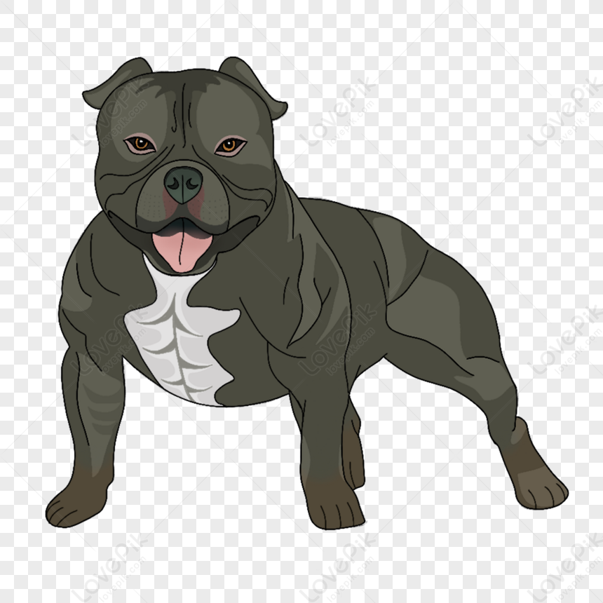 clipart de chien long