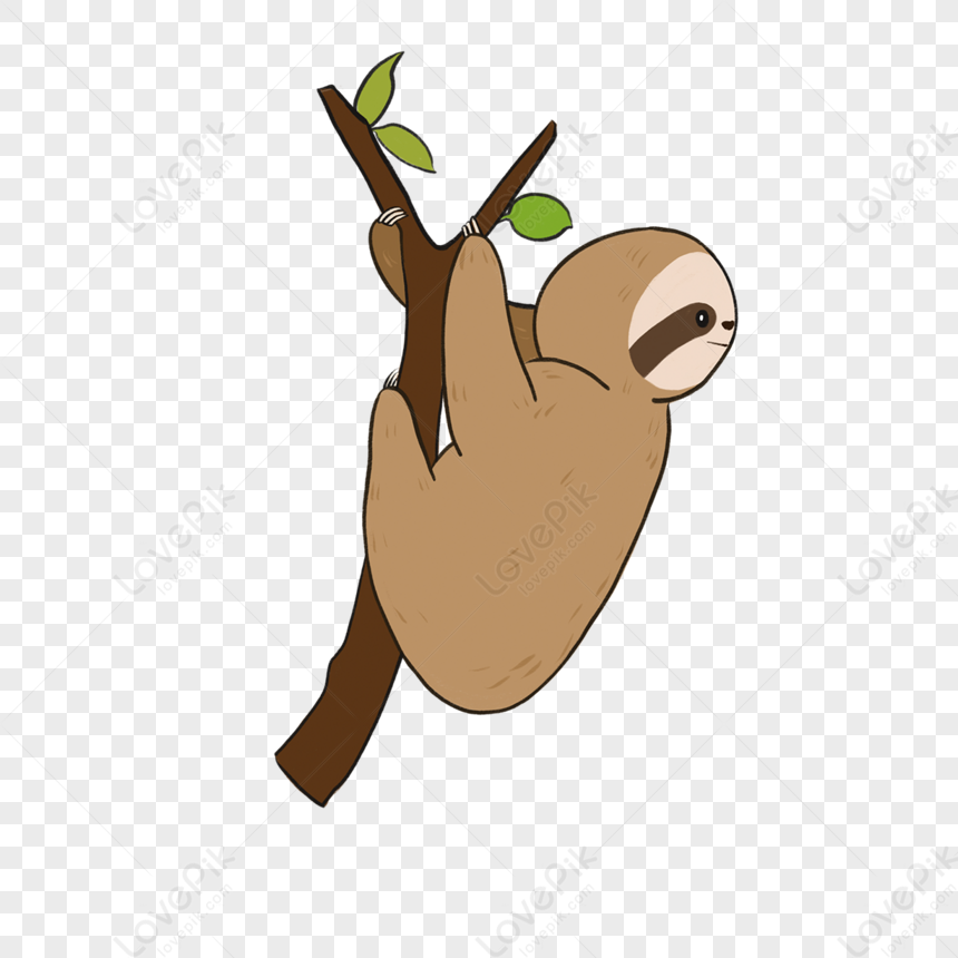 Brown Cartoon Sloth Education Slot Clipart,cartoon Style PNG Image And ...