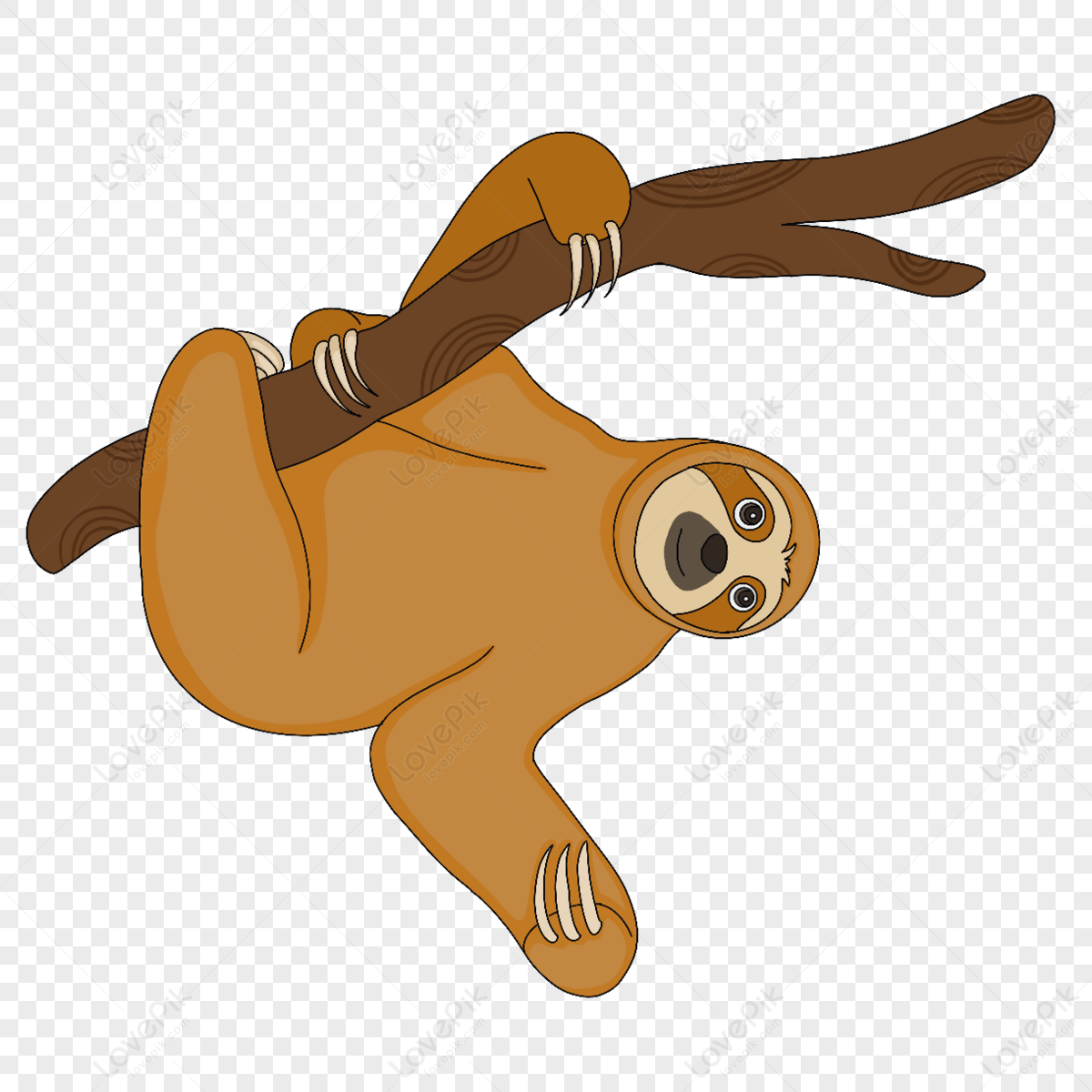 Brown Cute Sloth Clipart,national Lazy Day,cartoon,anime PNG ...