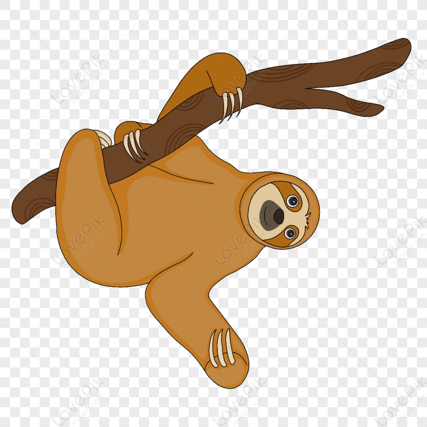 Brown Cute Sloth Clipart,national Lazy Day,cartoon,anime PNG ...