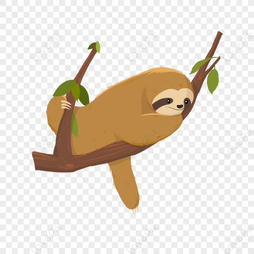 Cartoon Brown Sleeping Sloth Green Leaf Slot Clipart,book,and Going To ...