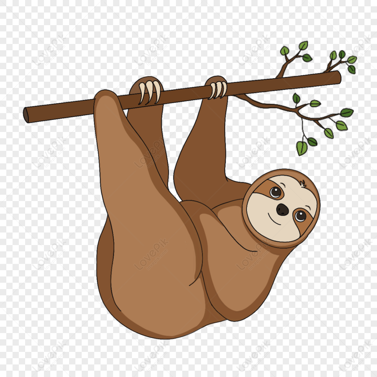 Cute Slot Clipart Clipart,cartoon,sloth,animal PNG Image And Clipart ...