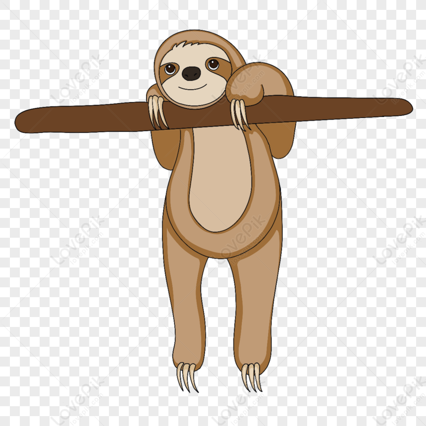 Hanging Cute Sloth Clipart,brown,national Lazy Day,the Cartoon PNG ...