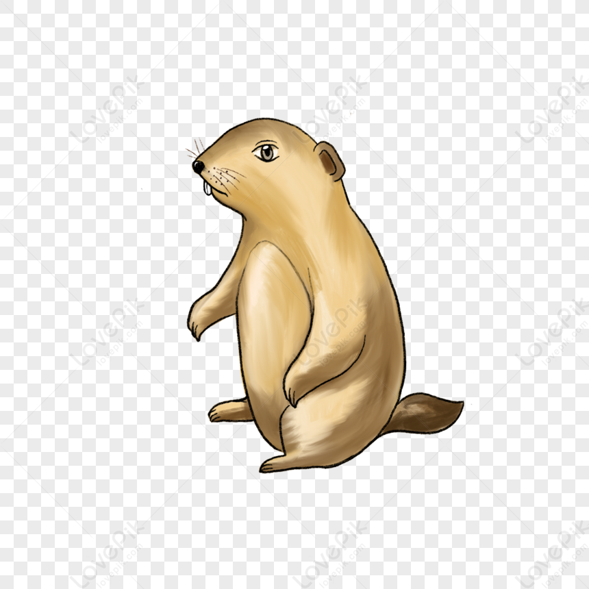 Happy Groundhog Day Spring Prairie Dog Day,happygroundhogday,cave PNG