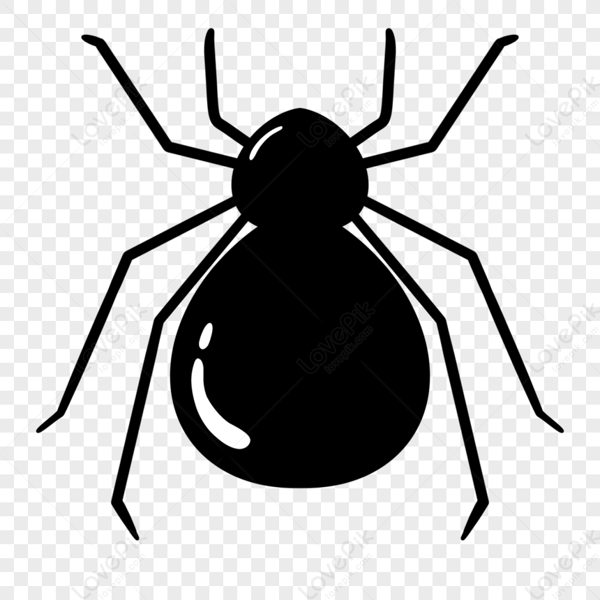 Spider Silhouette,black,spider Web PNG Free Download And Clipart Image ...