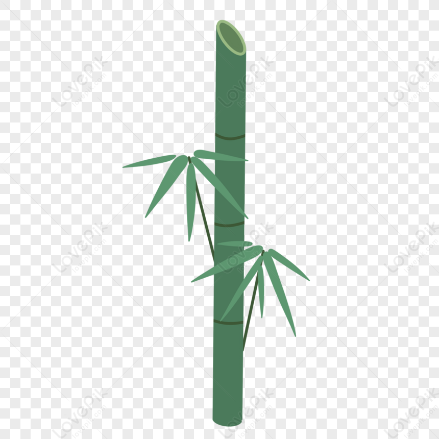 Cartoon Style Green Plant Bamboo,bamboo Leaves,life,bamboo Plants PNG ...