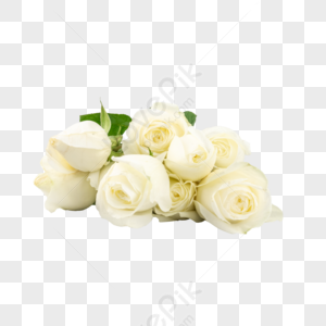 Bouquet PNG Images With Transparent Background | Free Download On Lovepik