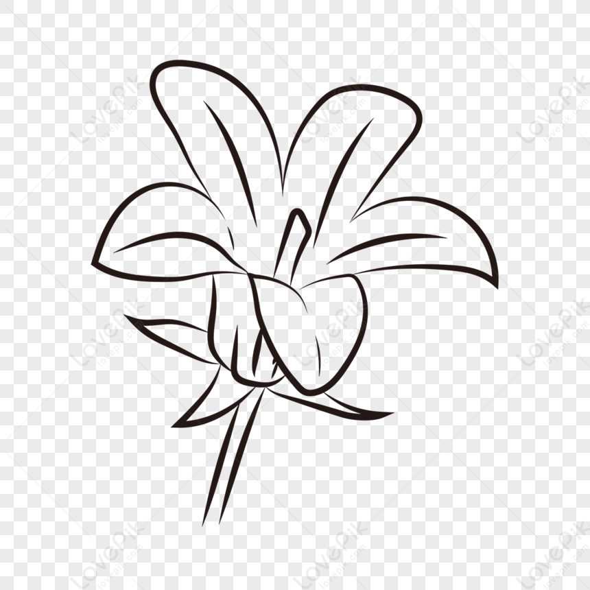 Black And White Line Little Lily Flower Clipart Black And White PNG ...